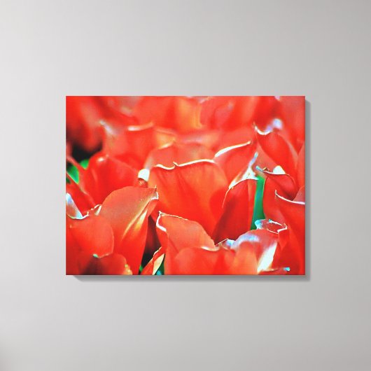 Gedruckte Leinwand Tulpen (Vorderseite)