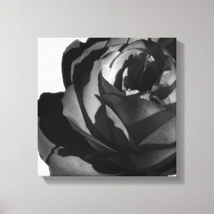 Gedruckter Leinwanddruck, Schwarze Rose blüht Leinwanddruck