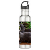 **"Geduld am Wasser: Zwei kleine graue Otters Edelstahlflasche (Vorderseite)