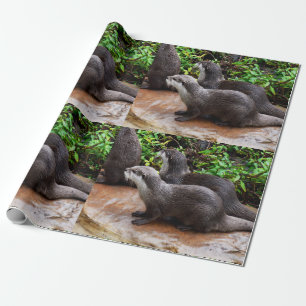 **"Geduld am Wasser: Zwei kleine graue Otters Geschenkpapier