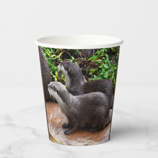 **"Geduld am Wasser: Zwei kleine graue Otters Pappbecher (Rückseite)