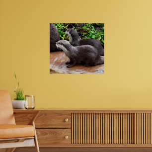 **"Geduld am Wasser: Zwei kleine graue Otters Poster