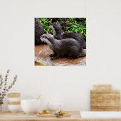 **"Geduld am Wasser: Zwei kleine graue Otters Poster (Küche)