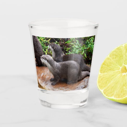 **"Geduld am Wasser: Zwei kleine graue Otters Schnapsglas (Vorderseite)