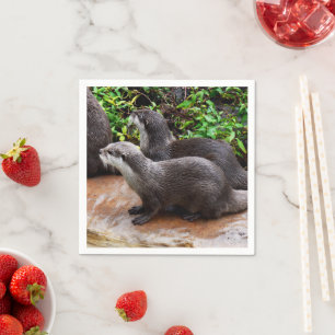 **"Geduld am Wasser: Zwei kleine graue Otters Serviette
