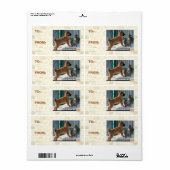 Geduld, Grasshopper. (Vorne)