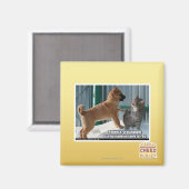 Geduld, Grasshopper. Magnet (Vorderseite/Rückseite)