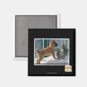 Geduld, Grasshopper. Magnet (Vorderseite/Rückseite)