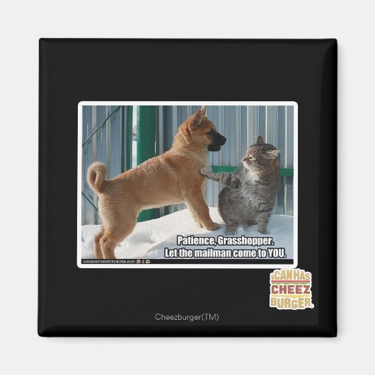 Geduld, Grasshopper. Magnet (Vorne)