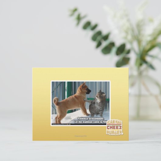 Geduld, Grasshopper. Postkarte (Stehend Vorderseite)