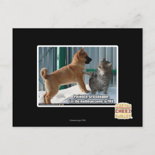 Geduld, Grasshopper. Postkarte