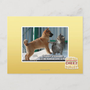 Geduld, Grasshopper. Postkarte