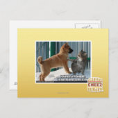 Geduld, Grasshopper. Postkarte (Vorne/Hinten)