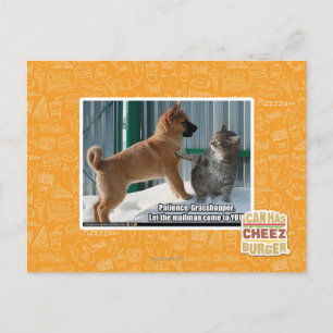 Geduld, Grasshopper. Postkarte