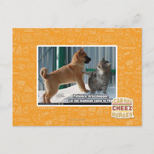 Geduld, Grasshopper. Postkarte (Vorderseite)