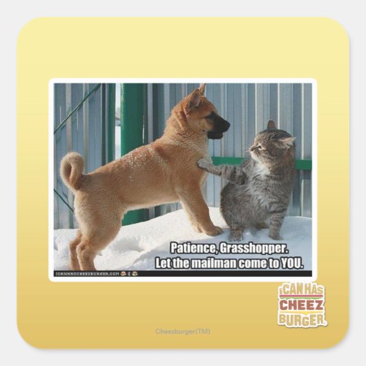 Geduld, Grasshopper. Quadratischer Aufkleber (Vorderseite)