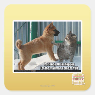 Geduld, Grasshopper. Quadratischer Aufkleber