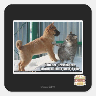 Geduld, Grasshopper. Quadratischer Aufkleber