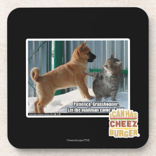 Geduld, Heuschrecke Getränkeuntersetzer