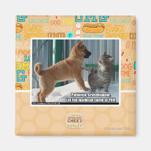 Geduld, Heuschrecke Magnet