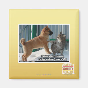 Geduld, Heuschrecke Magnet