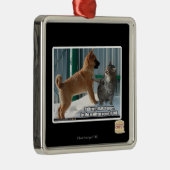 Geduld, Heuschrecke Ornament Aus Metall (Rechts)