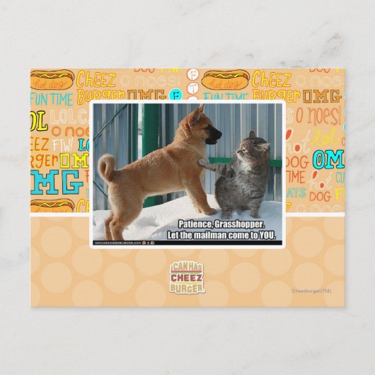 Geduld, Heuschrecke Postkarte (Vorderseite)