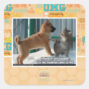 Geduld, Heuschrecke Quadratischer Aufkleber