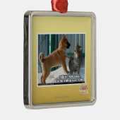 Geduld, Heuschrecke Silbernes Ornament (Rechts)