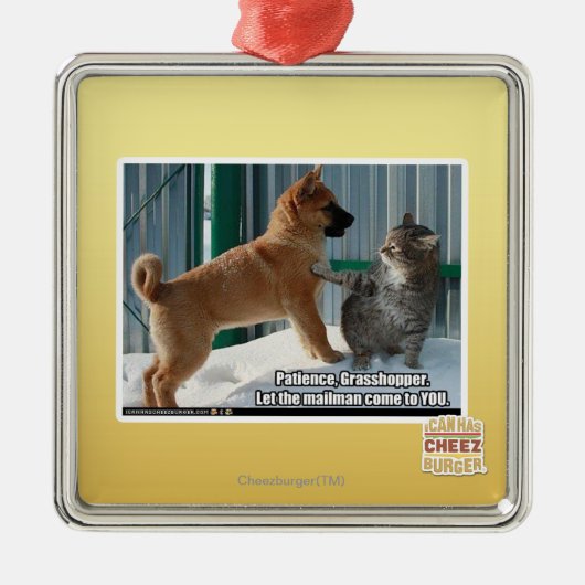 Geduld, Heuschrecke Silbernes Ornament (Vorne)