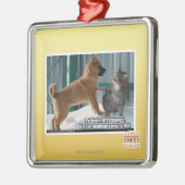 Geduld, Heuschrecke Silbernes Ornament (Links)