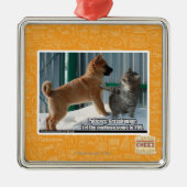 Geduld, Heuschrecke Silbernes Ornament (Vorne)