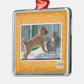 Geduld, Heuschrecke Silbernes Ornament (Links)