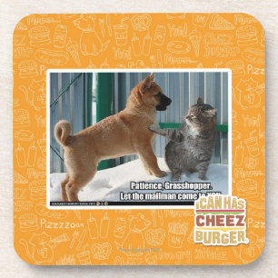 Geduld, Heuschrecke Untersetzer