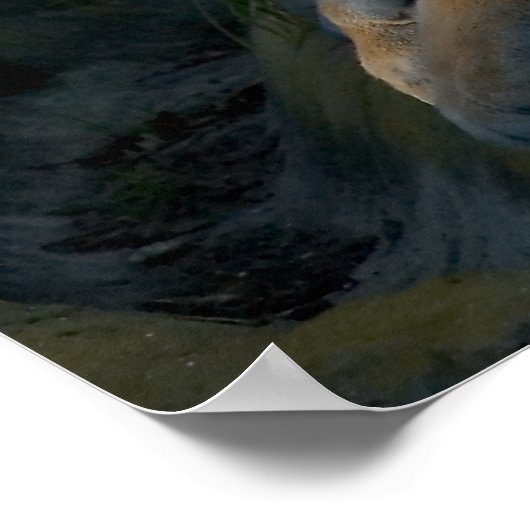 Geduld Poster (Ecke)