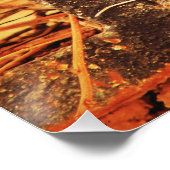 Geduld Poster (Ecke)