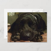 geduldig Gewartet Postkarte (Vorne/Hinten)