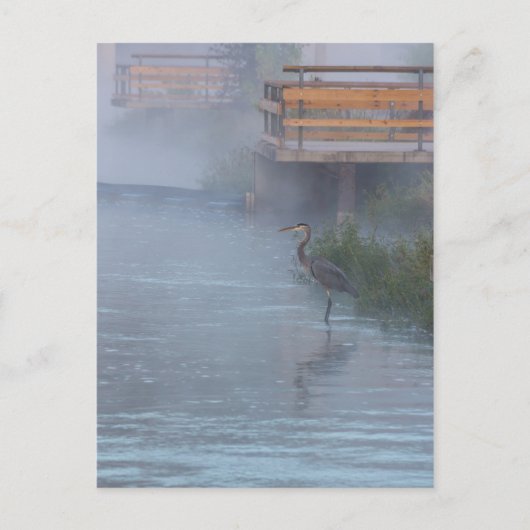 geduldig Gewartet Postkarte (Vorderseite)