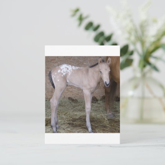 geeignet postkarte (Stehend Vorderseite)