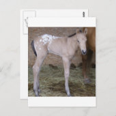 geeignet postkarte (Vorne/Hinten)