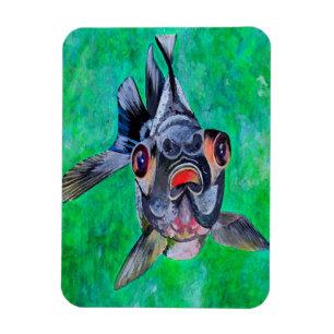 Geeky Blackmoor Goldfish mit teleskopischen Augen Magnet