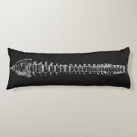 Geeky Dorn-Anatomie-Rückenmark-vertebrale Spalte