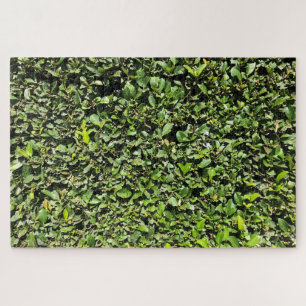 Geen-Hedge Puzzle