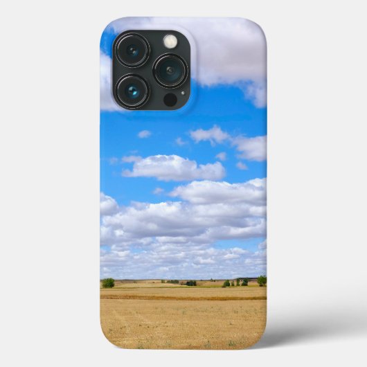 Geerntete Weizenfelder Case-Mate iPhone Hülle (Rückseite)