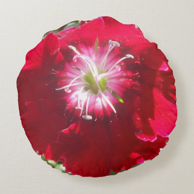 Geertje Rundes Kissen (Rückseite)