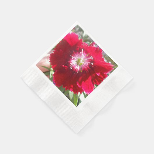 Geertje Serviette (Ecke)