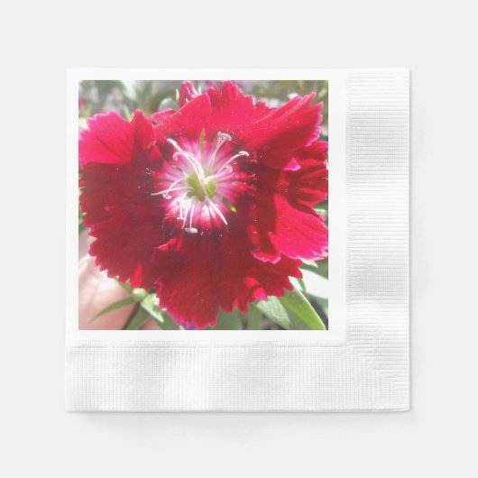 Geertje Serviette (Vorderseite)