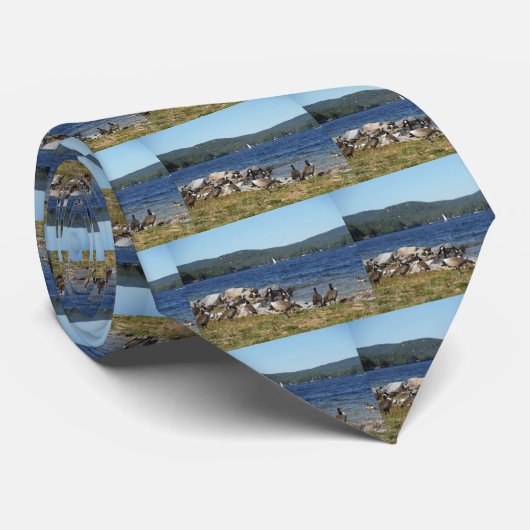 Geese and Lake with Sailboat Krawatte (Gerollt)