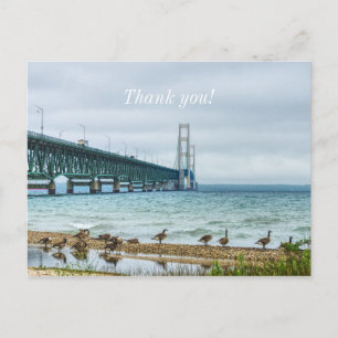 Geese at Mighty Mac Vielen Dank Postkarte