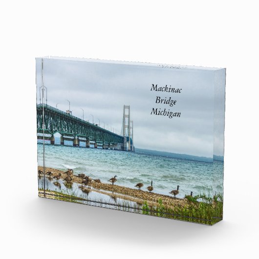 Geese auf Mighty Mac Fotoblock (Rechts)